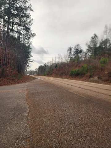 a view of a rural road with plants