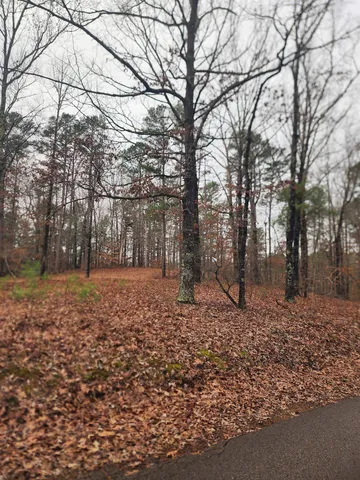 a backyard of a house with lots of trees