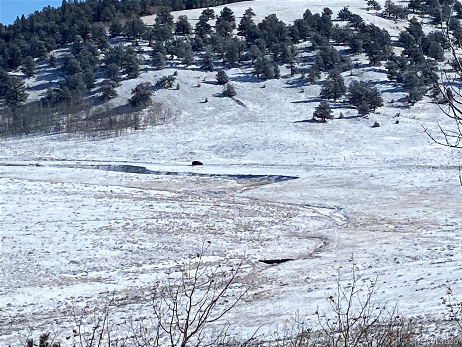 a view of beach and yard