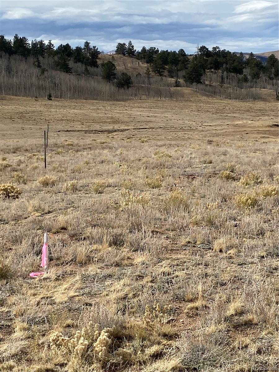 157 Crow Court Como, CO 80432 - Photo 17 of 34 a view of lake