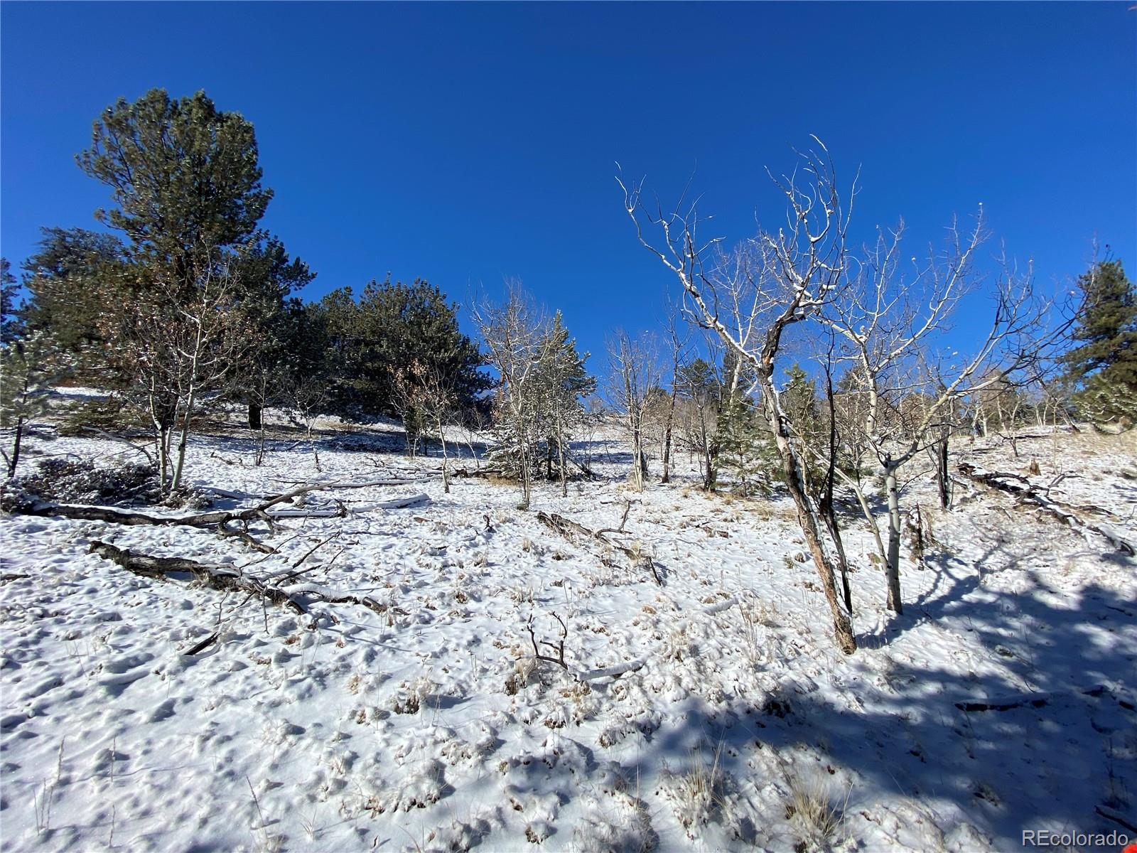 157 Crow Court Como, CO 80432 - Photo 20 of 34 a view of covered with snow