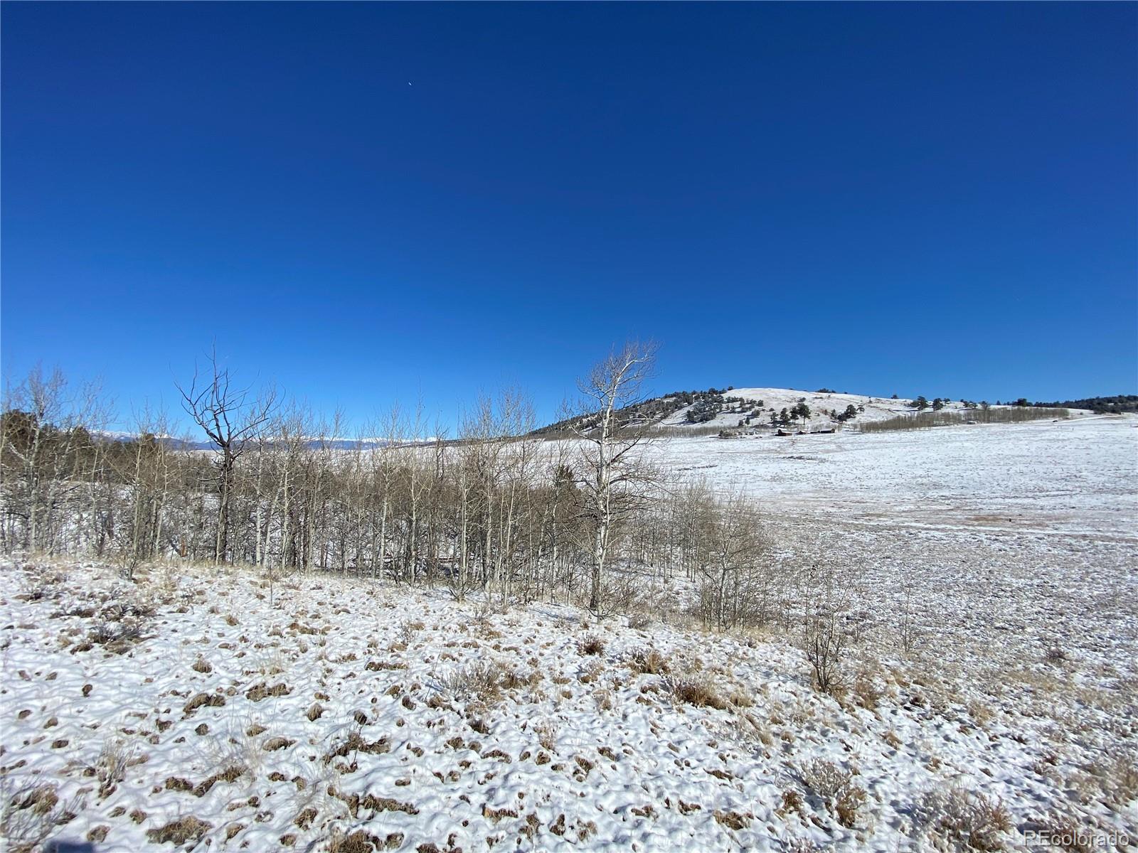 157 Crow Court Como, CO 80432 - Photo 23 of 34 a view of a dry yard with trees
