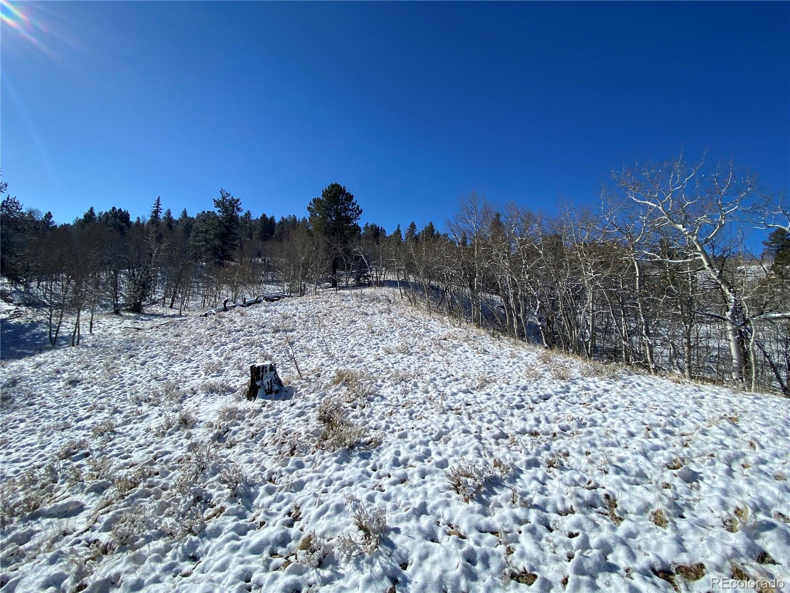 157 Crow Court Como, CO 80432 - Photo 24 of 34 a view of a dry yard with trees in the background