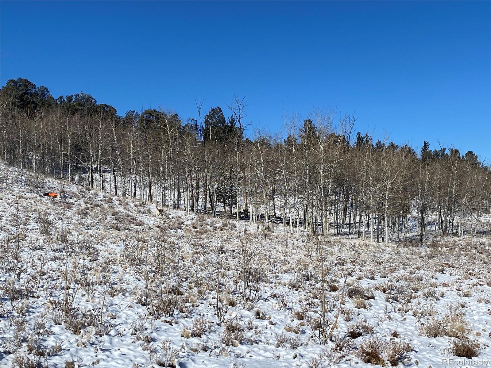 157 Crow Court Como, CO 80432 - Photo 25 of 34 a view of a covered with snow on the ground