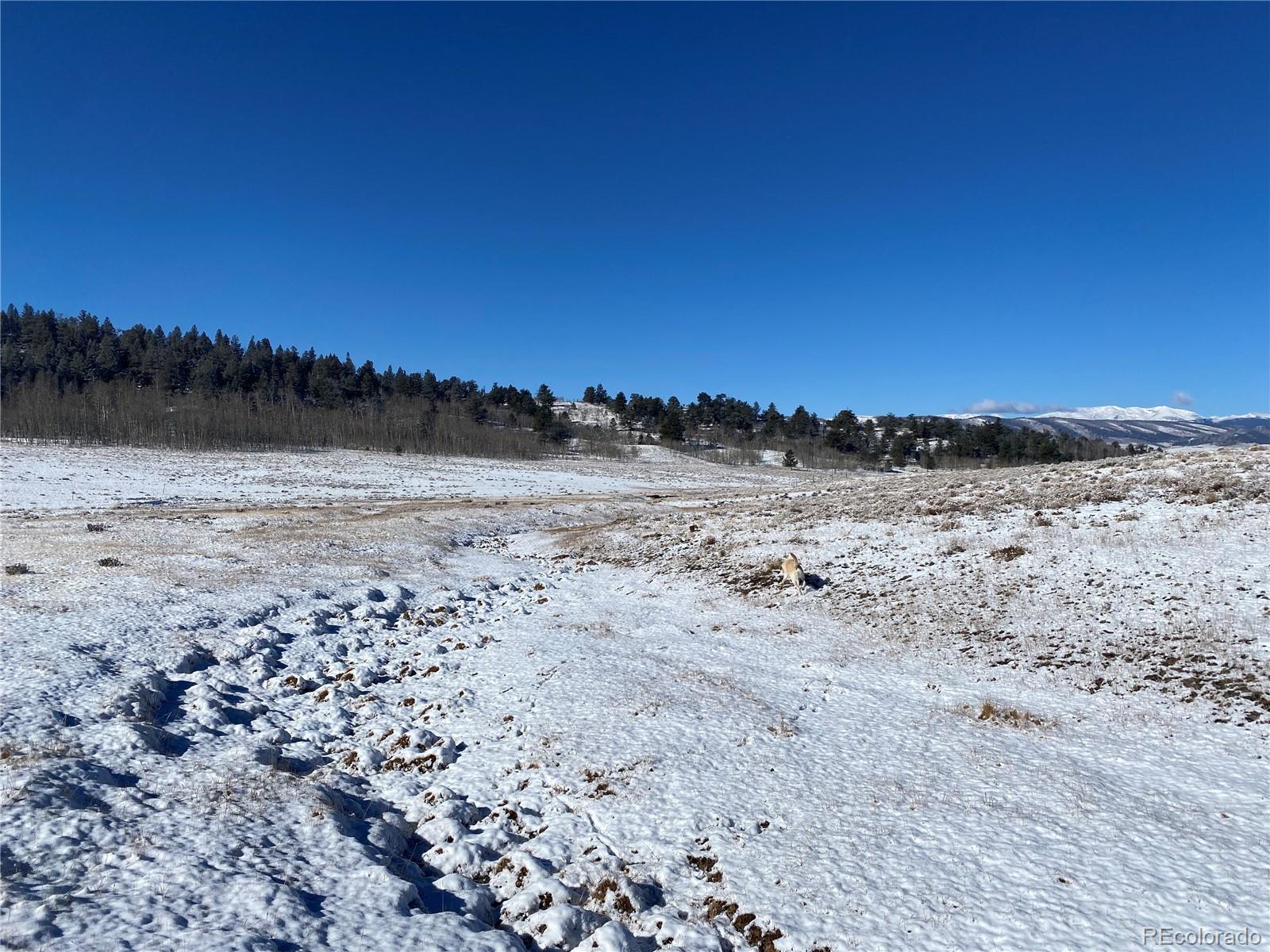 157 Crow Court Como, CO 80432 - Photo 27 of 34 a view of lake view and mountain