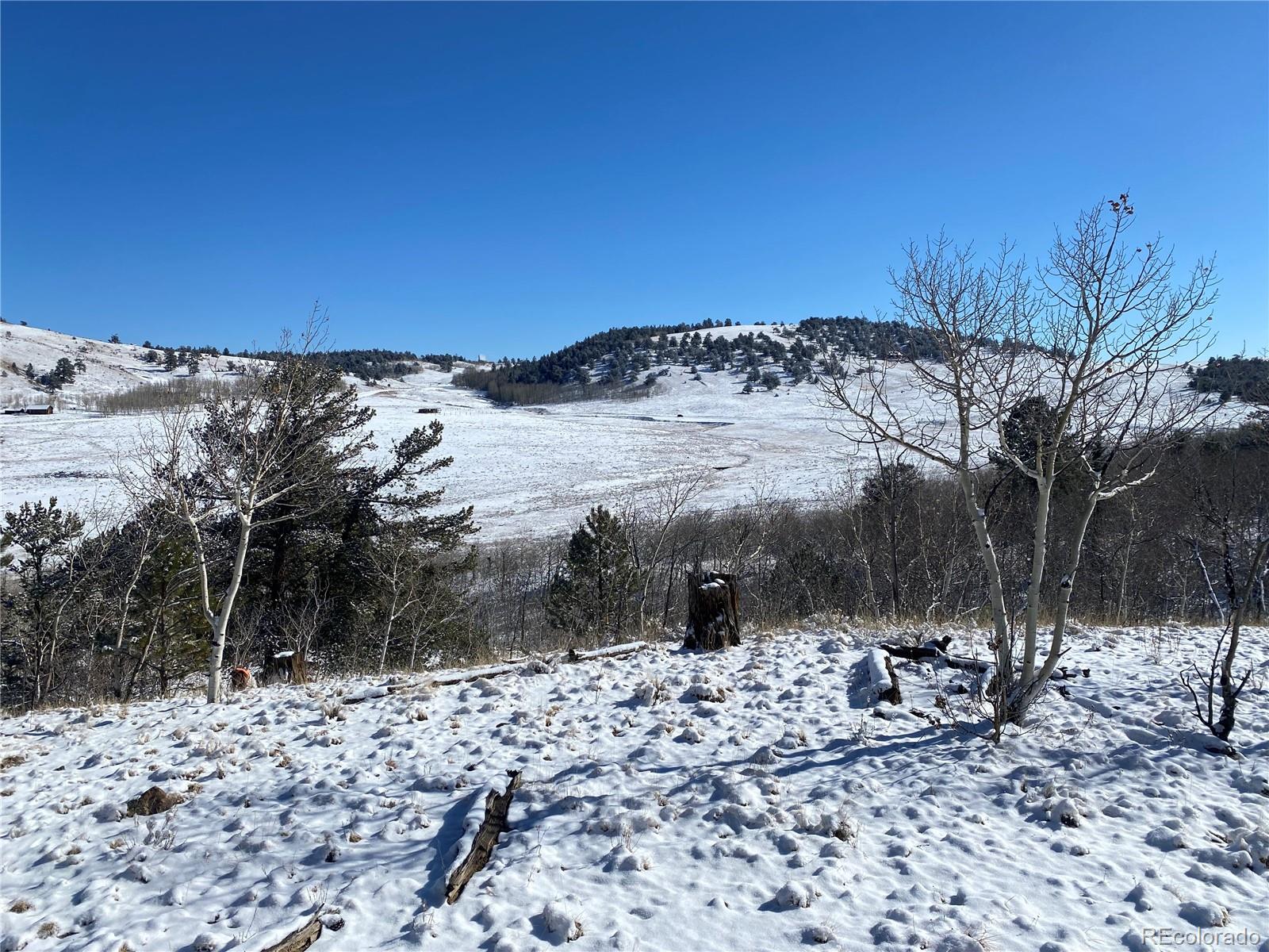 157 Crow Court Como, CO 80432 - Photo 29 of 34 a view of a backyard