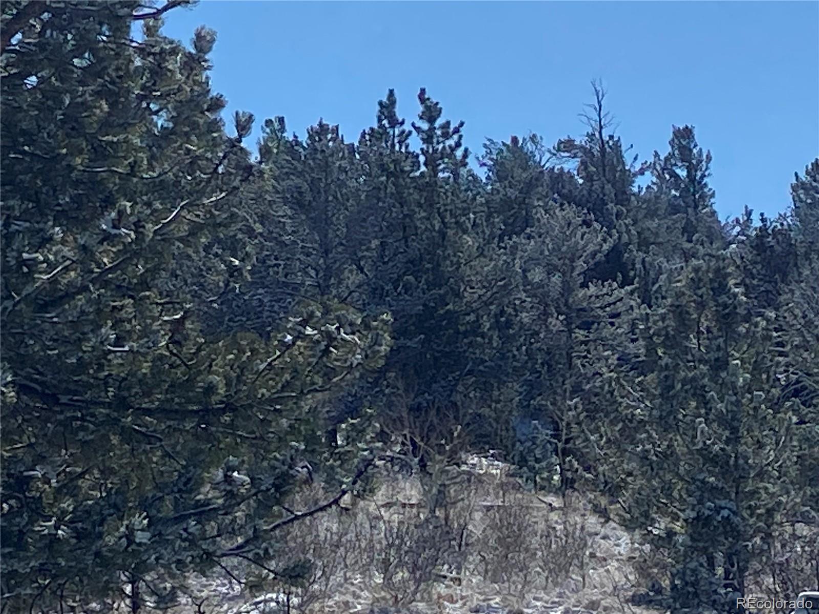 157 Crow Court Como, CO 80432 - Photo 31 of 34 a view of a forest with a tree in the background