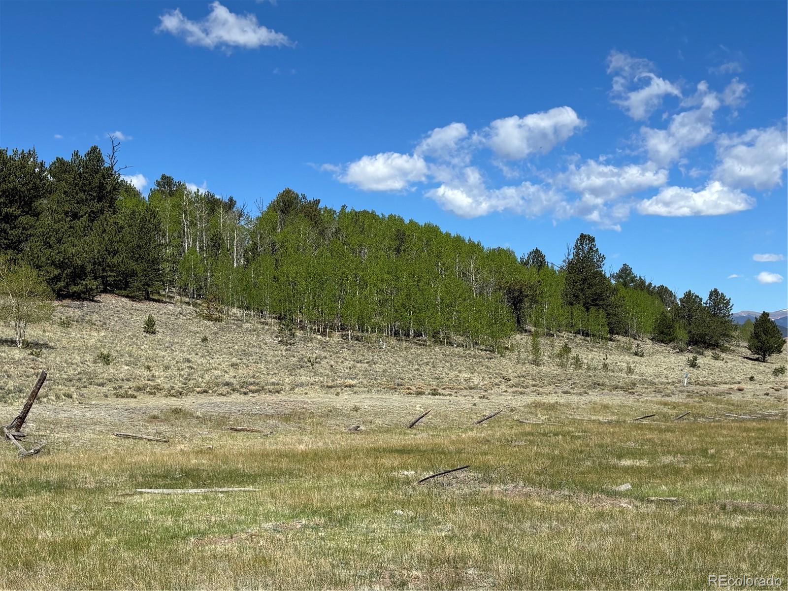 157 Crow Court Como, CO 80432 - Photo 4 of 34 a view of ocean view with beach