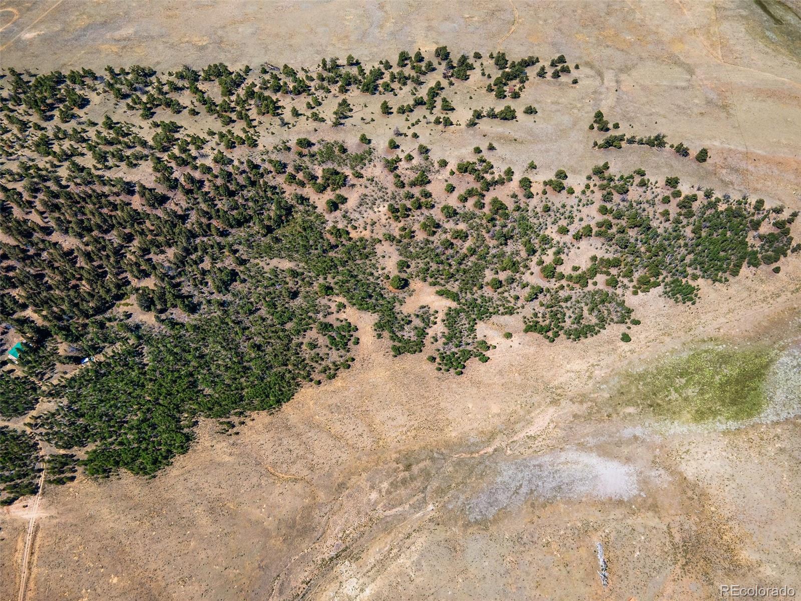 157 Crow Court Como, CO 80432 - Photo 9 of 34 a view of a yard with a snow