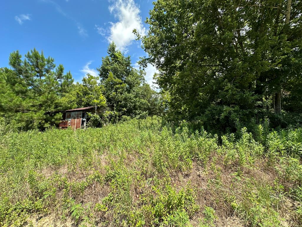 250 Adams Mill Road Clayton, AL 36016 - Photo 70 of 74