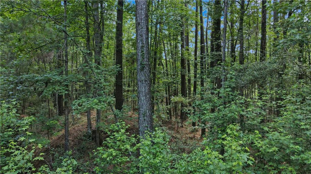 Lot 30 Freedom Trail Southwest, Unit 30 Townsend, GA 31331 - Photo 3 of 6