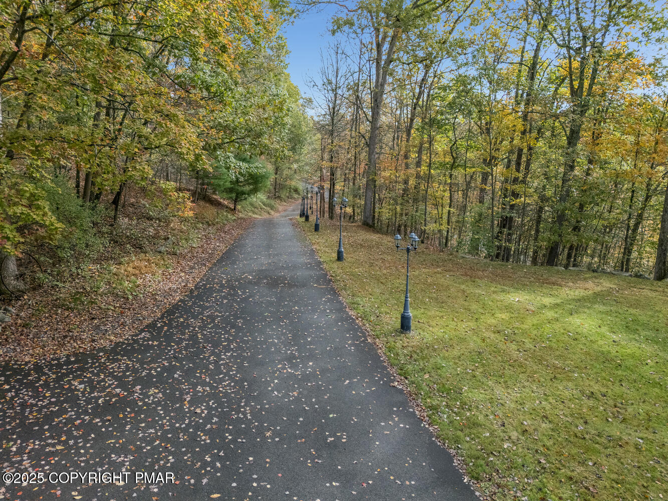 1187 Manzanedo Road East Stroudsburg, PA 18302 - Photo 2 of 31 a view of a yard with plants and trees
