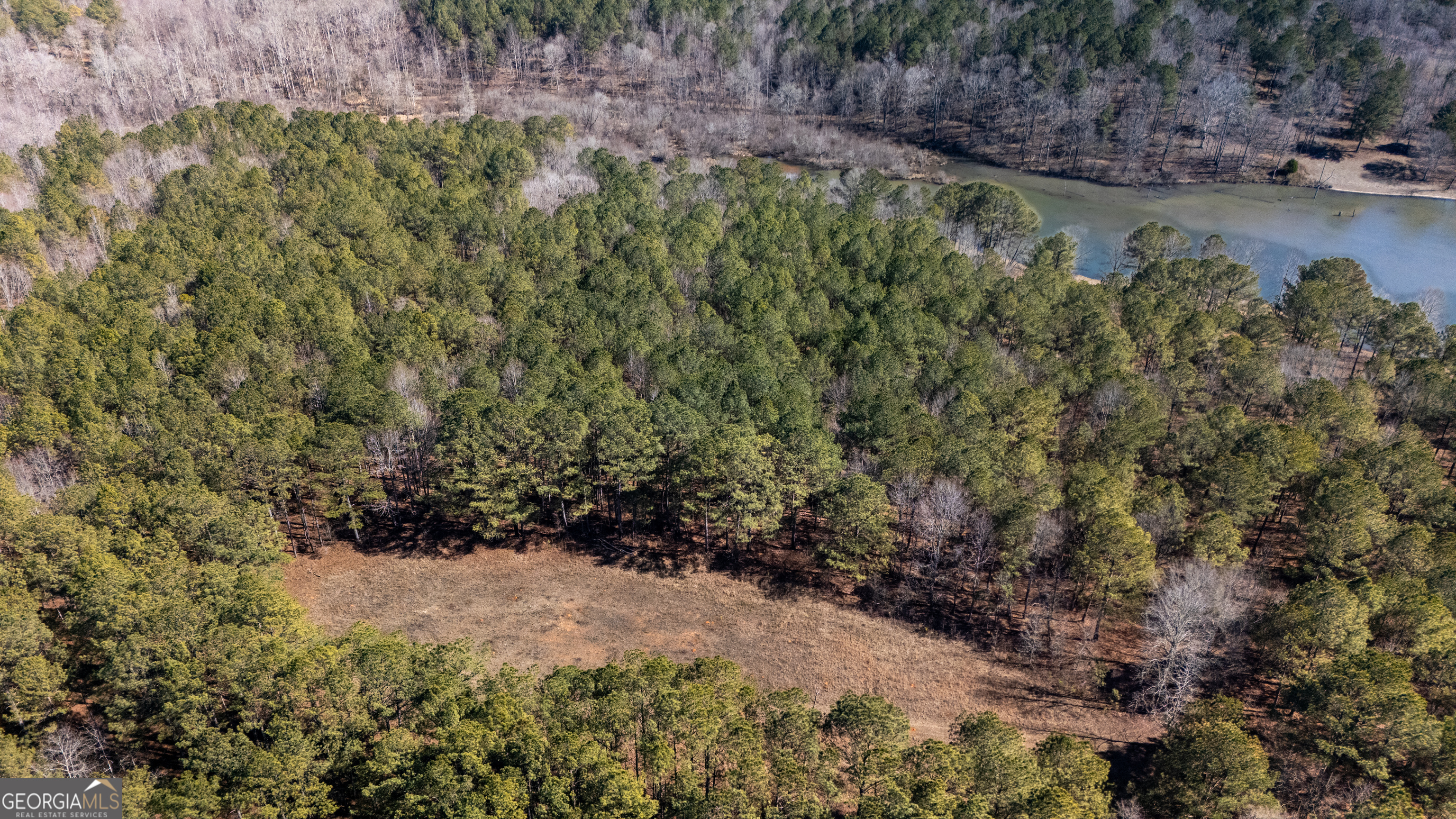175 Thornton Road Franklin, GA 30217 - Photo 99 of 128