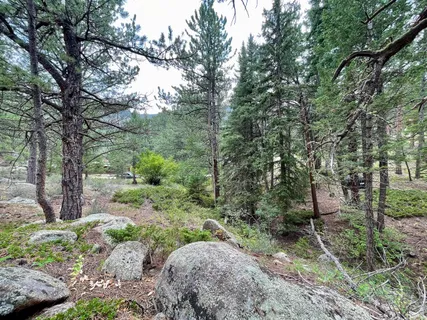 a view of a park with large trees