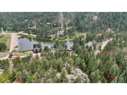 a open area with lots of trees