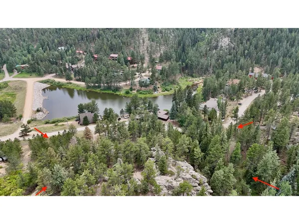 a open area with lots of trees