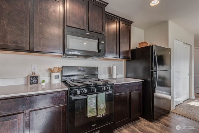 a kitchen with a sink and a potted plant
