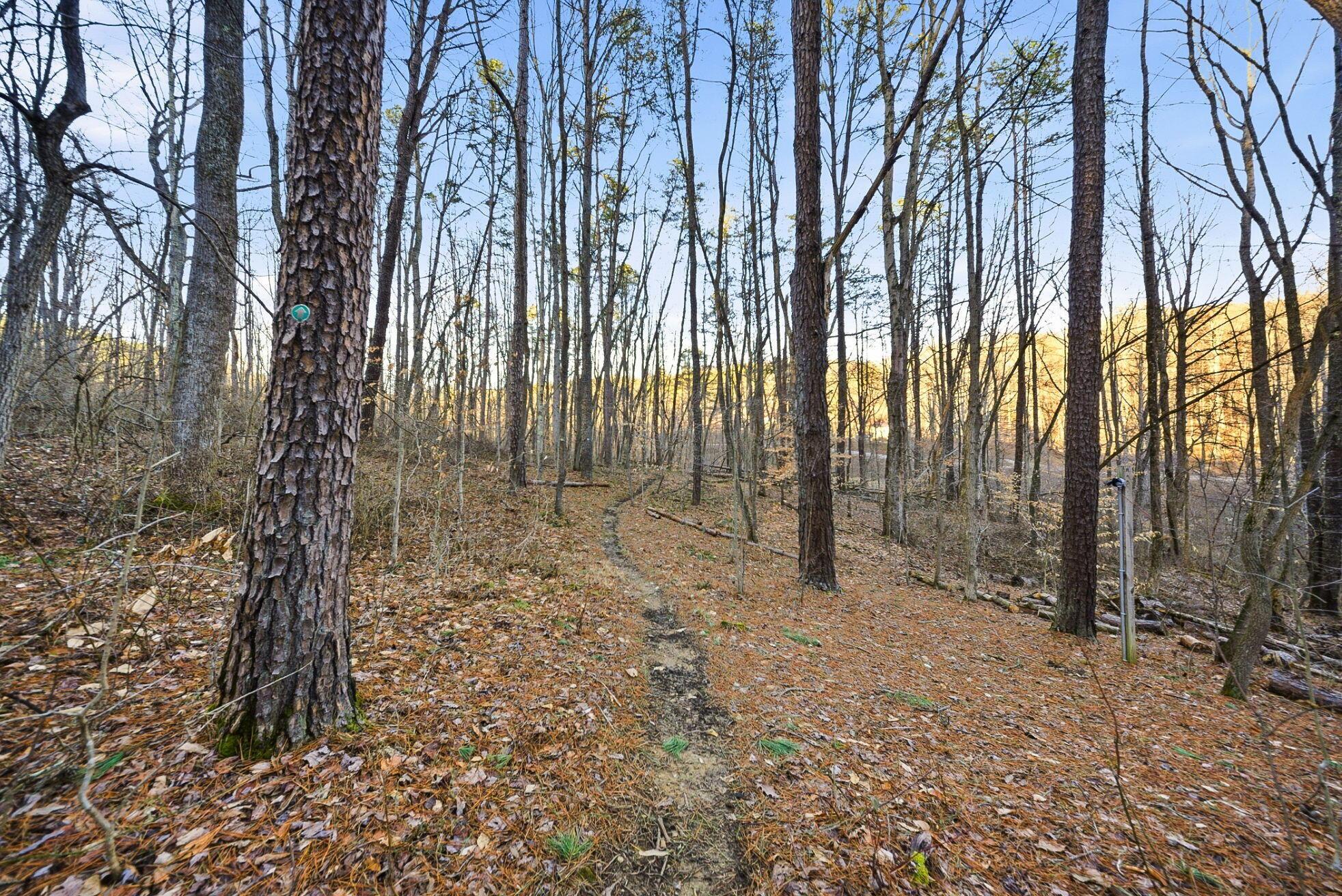 15399 Clapper Hollow Road Laurelville, OH 43135 - Photo 40 of 61 Private, Marked Hiking Trail