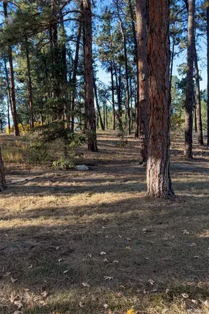 $110,000 | Escondido Road, Weston, CO 81091