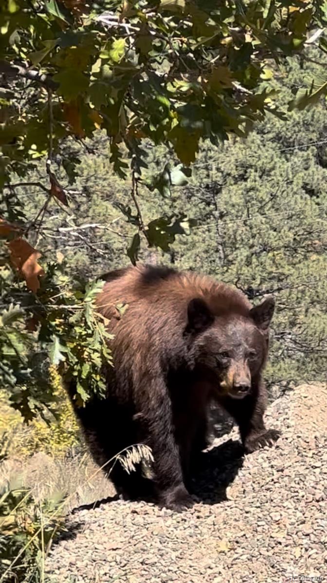 Escondido Road Weston, CO 81091 - Photo 5 of 7