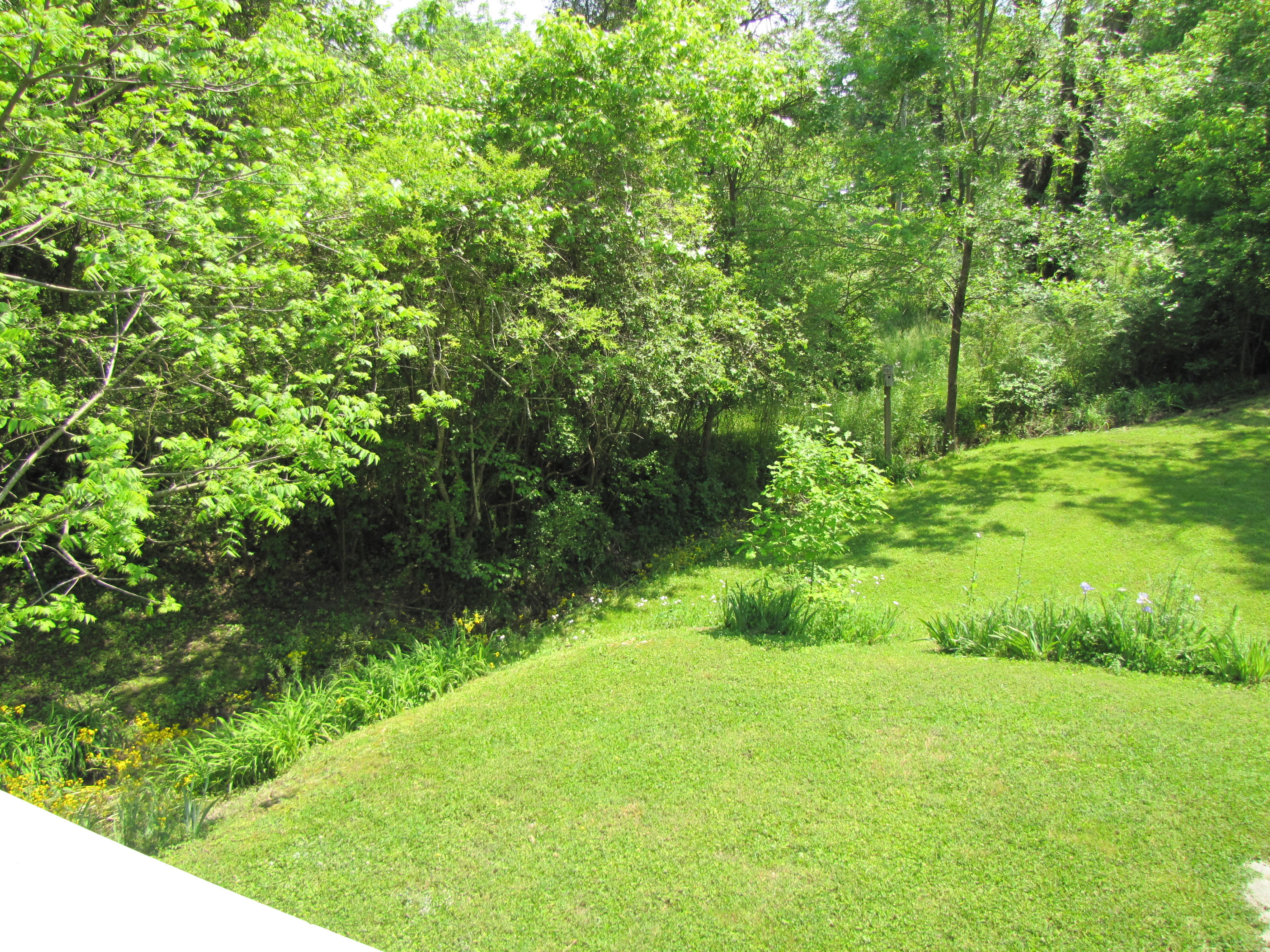 1038 Graysville Road Ringgold, GA 30736 - Photo 11 of 27 Donnahoo_Sideyard