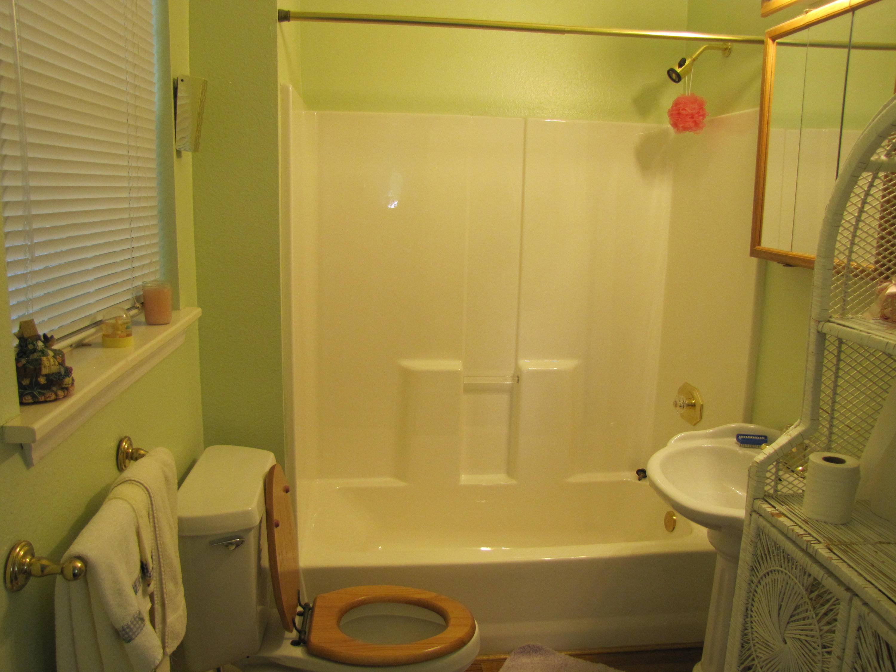 1038 Graysville Road Ringgold, GA 30736 - Photo 24 of 27 Donnahoo_DownstairsBath
