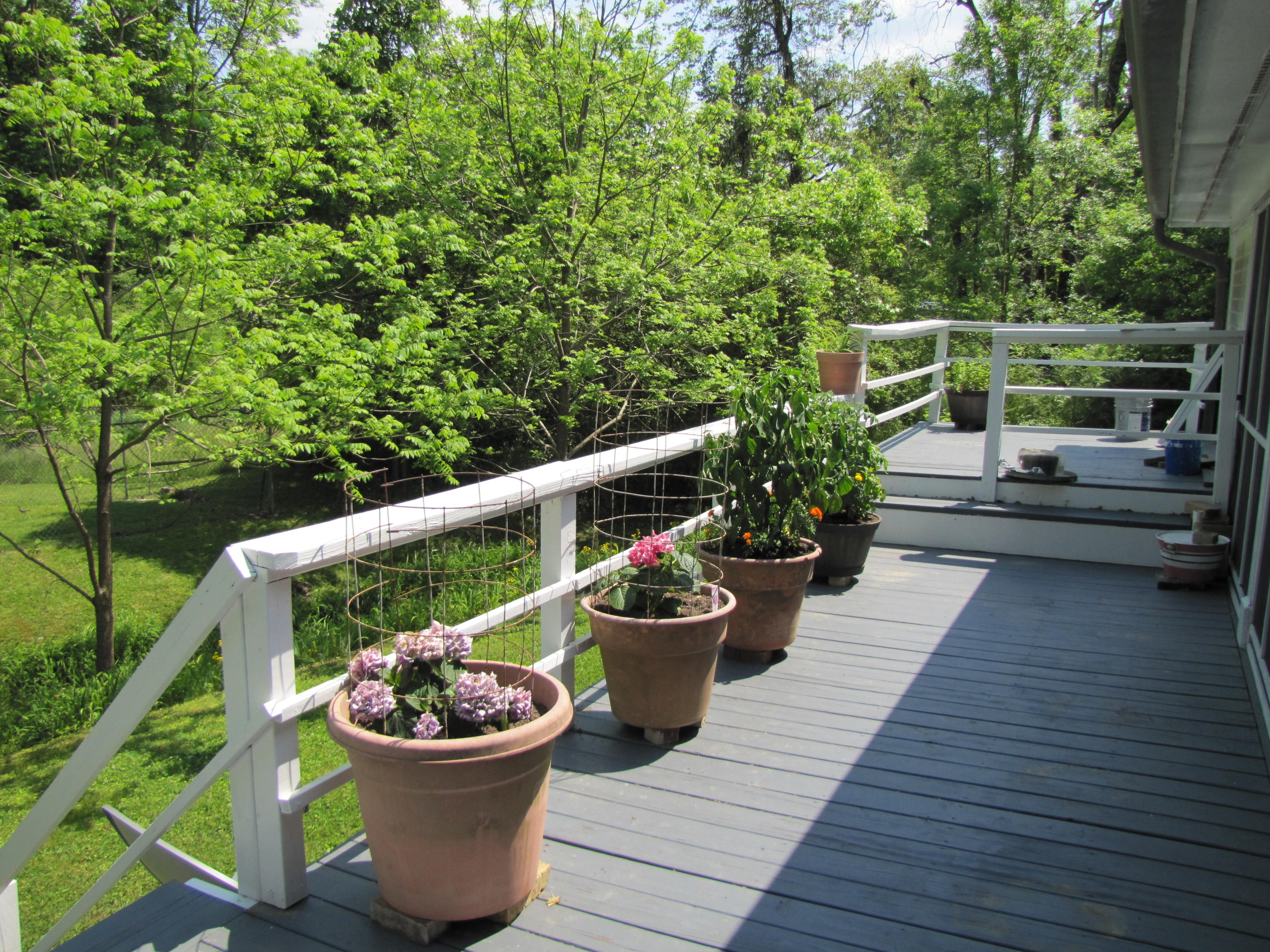 1038 Graysville Road Ringgold, GA 30736 - Photo 8 of 27 Donnahoo_BackDeck