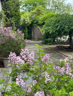 263 Polpis Road Nantucket, MA 02554 - Photo 45 of 53