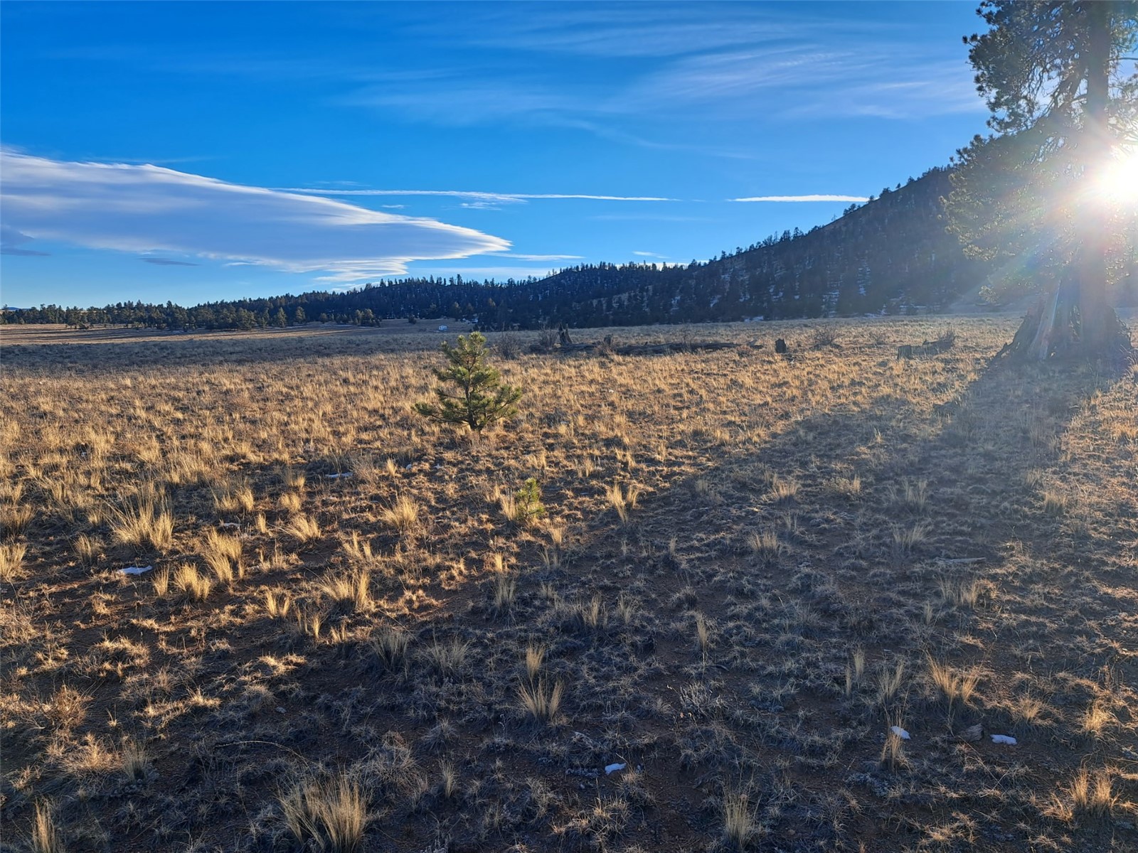 186 Boulder Road Hartsel, CO 80449 - Photo 22 of 33 Gallery Image 22