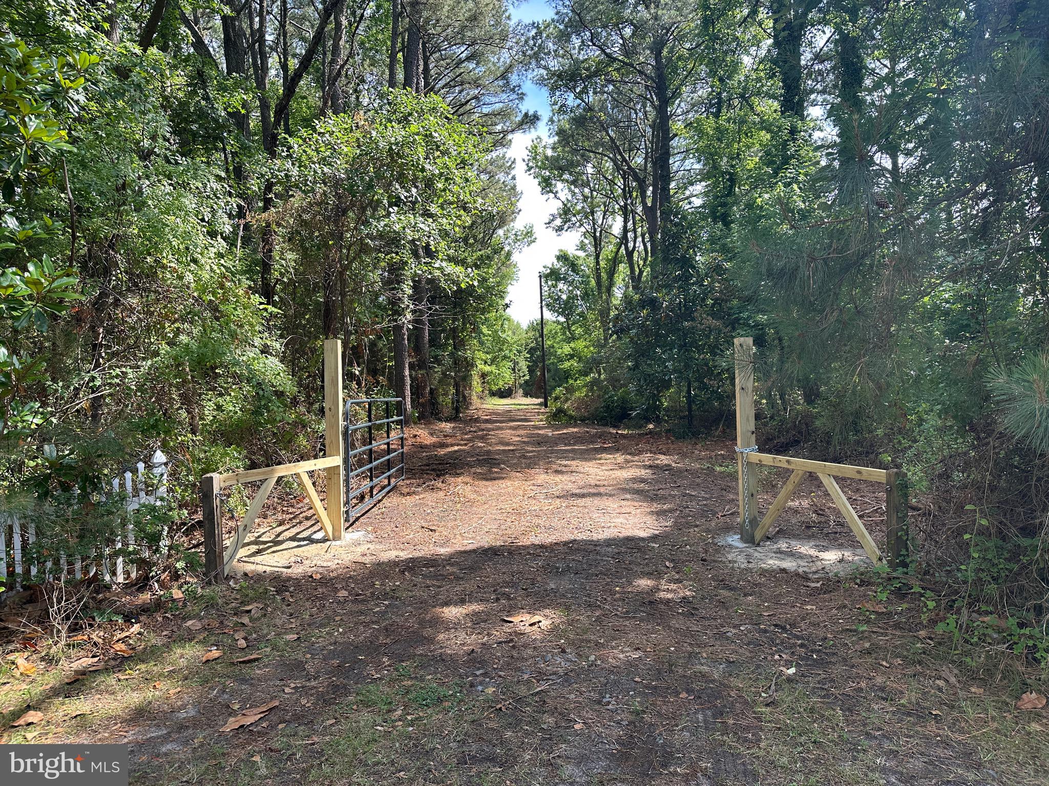23145 Edelen Webster Road Deal Island, MD 21821 - Photo 12 of 35