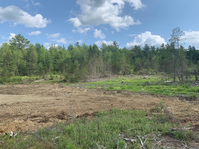 Lot 4 Gannon Road Littleton, NH 03561 - Photo 4 of 10 Gallery Image 4