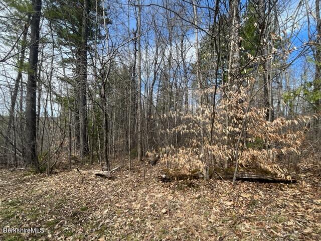 331 Shaw Road Windsor, MA 01270 - Photo 21 of 30 early spring view of land