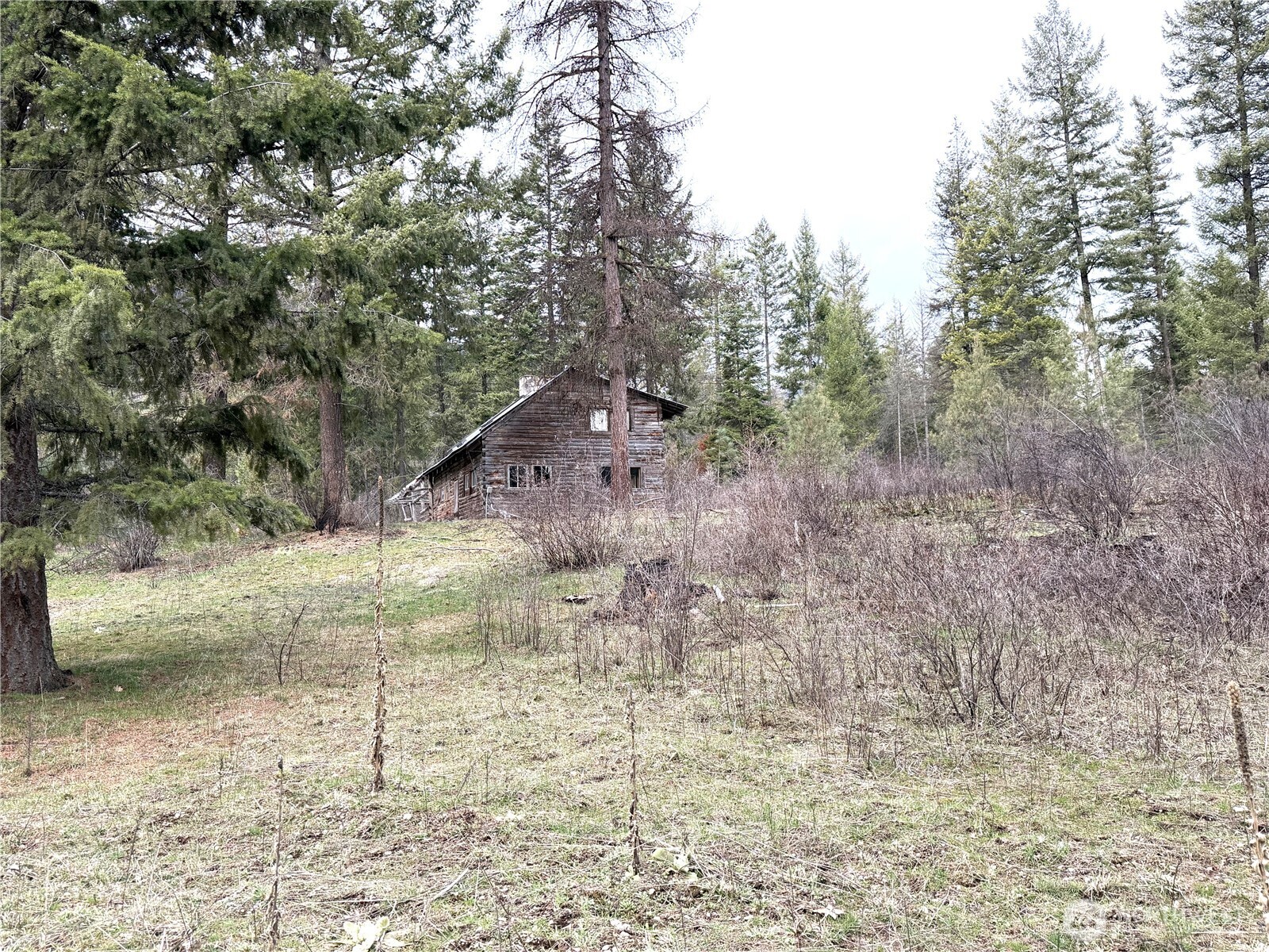 3507 Hamlett Road Kettle Falls, WA 99141 - Photo 4 of 25 Gallery Image 4
