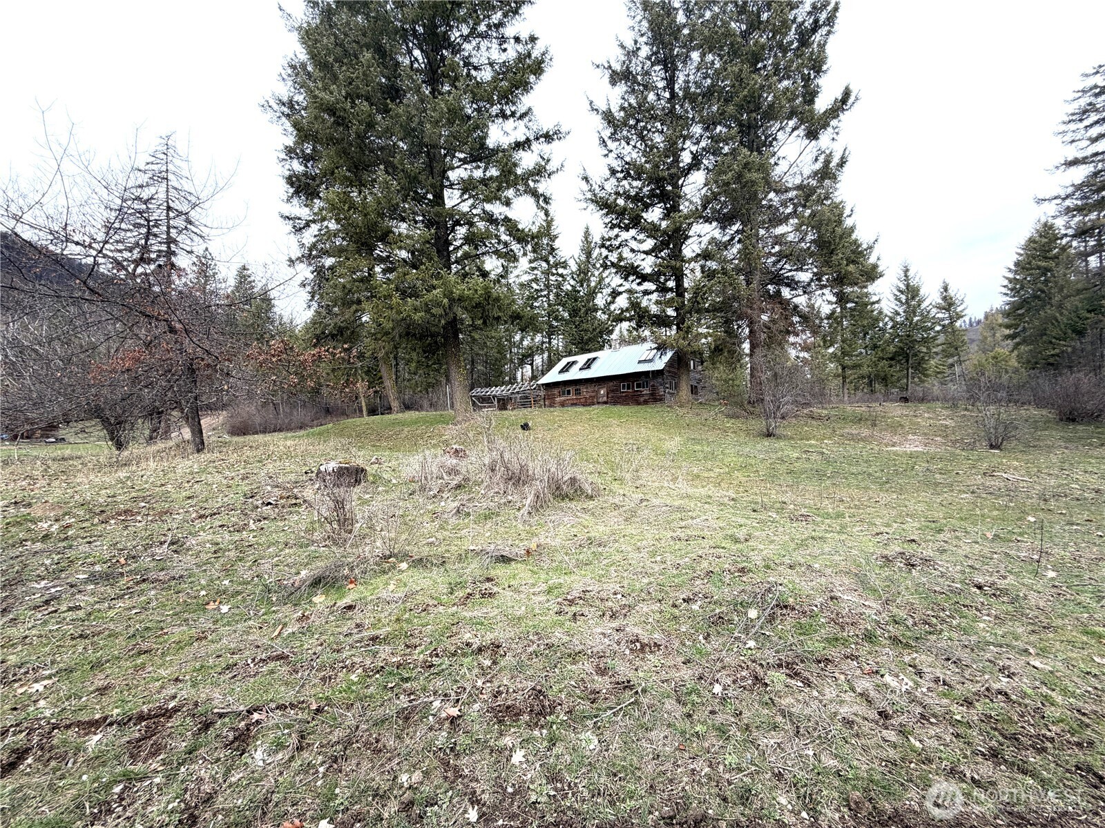 3507 Hamlett Road Kettle Falls, WA 99141 - Photo 5 of 25 Gallery Image 5