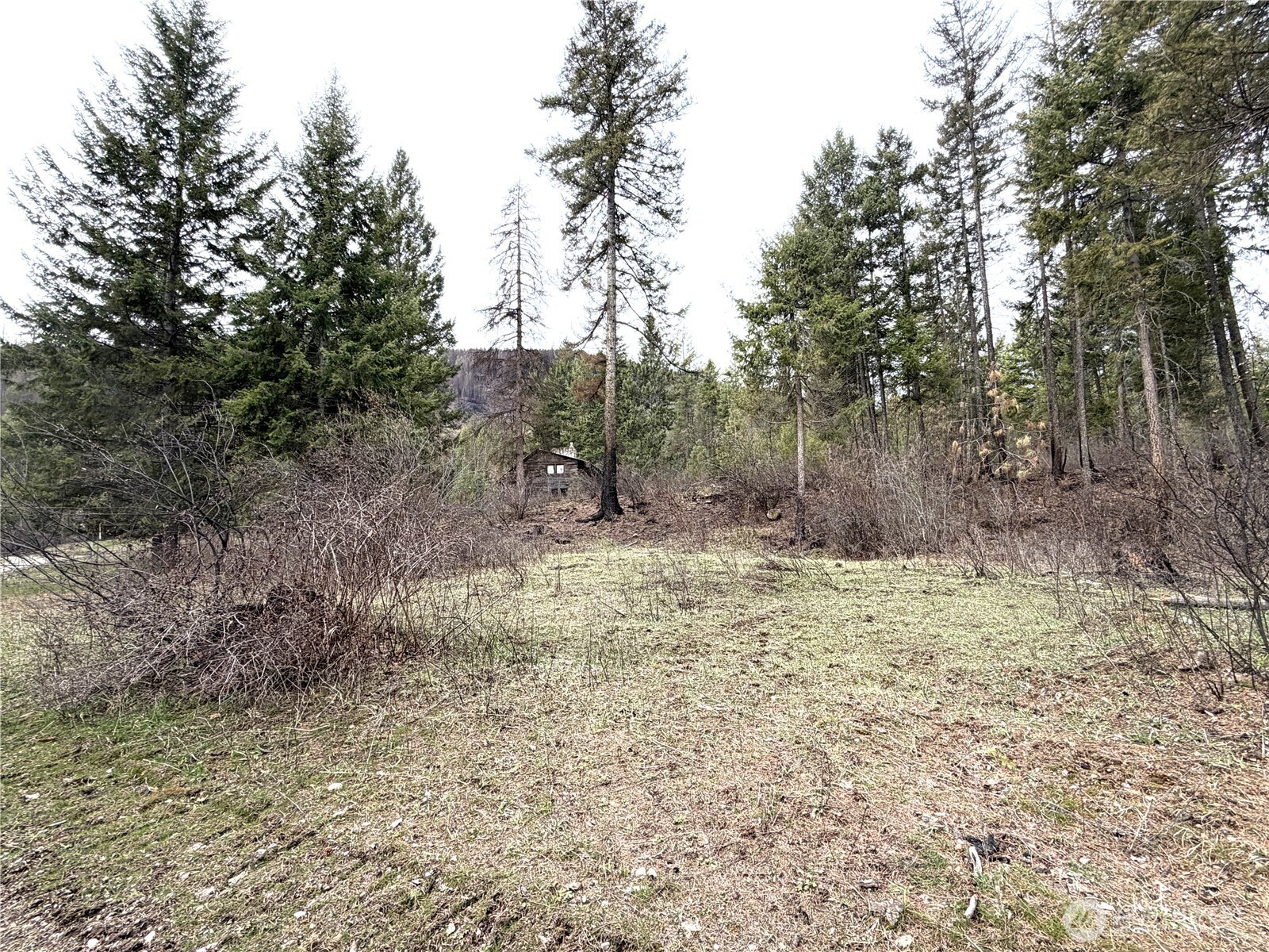 3507 Hamlett Road Kettle Falls, WA 99141 - Photo 6 of 25 Gallery Image 6
