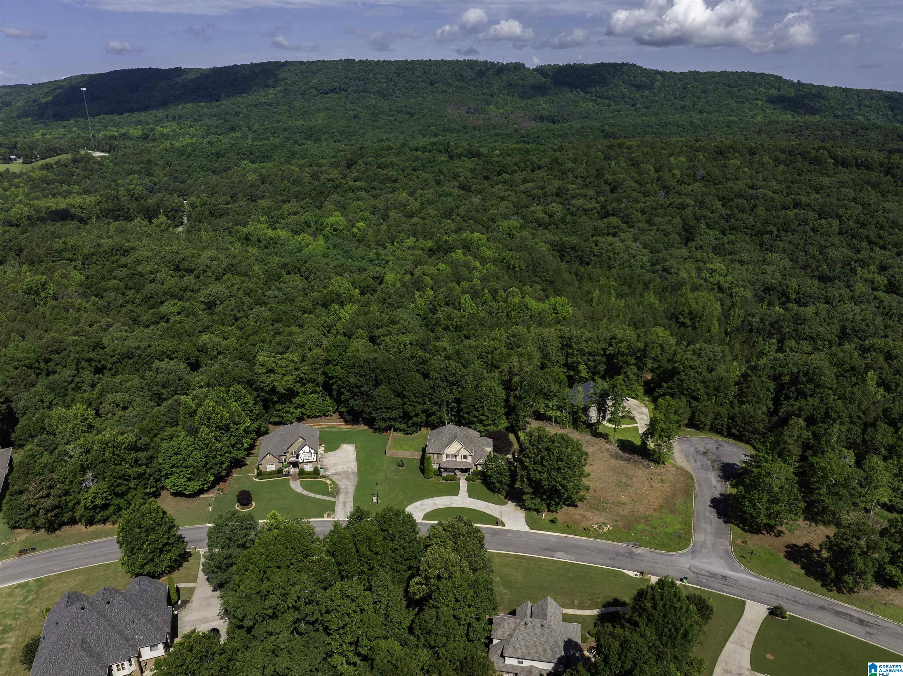 542 Cody Circle Springville, AL 35146 - Photo 4 of 62