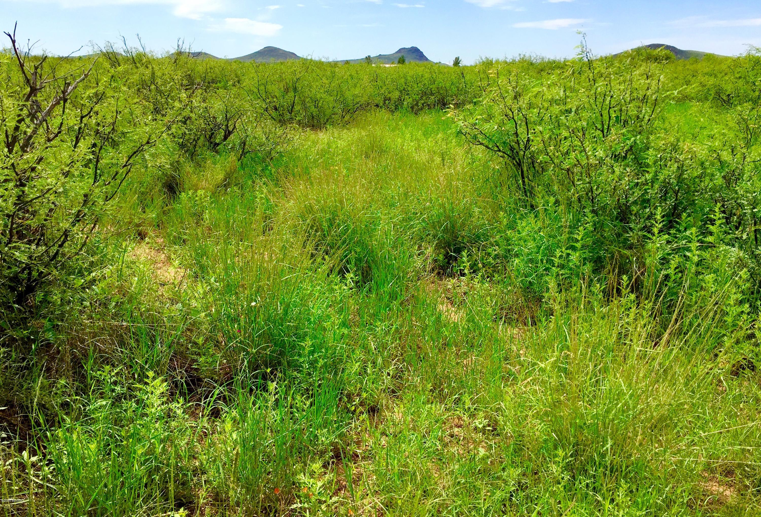 30-ac East Doe Ranch Road, Unit 56 Pearce, AZ 85625 - Photo 12 of 47