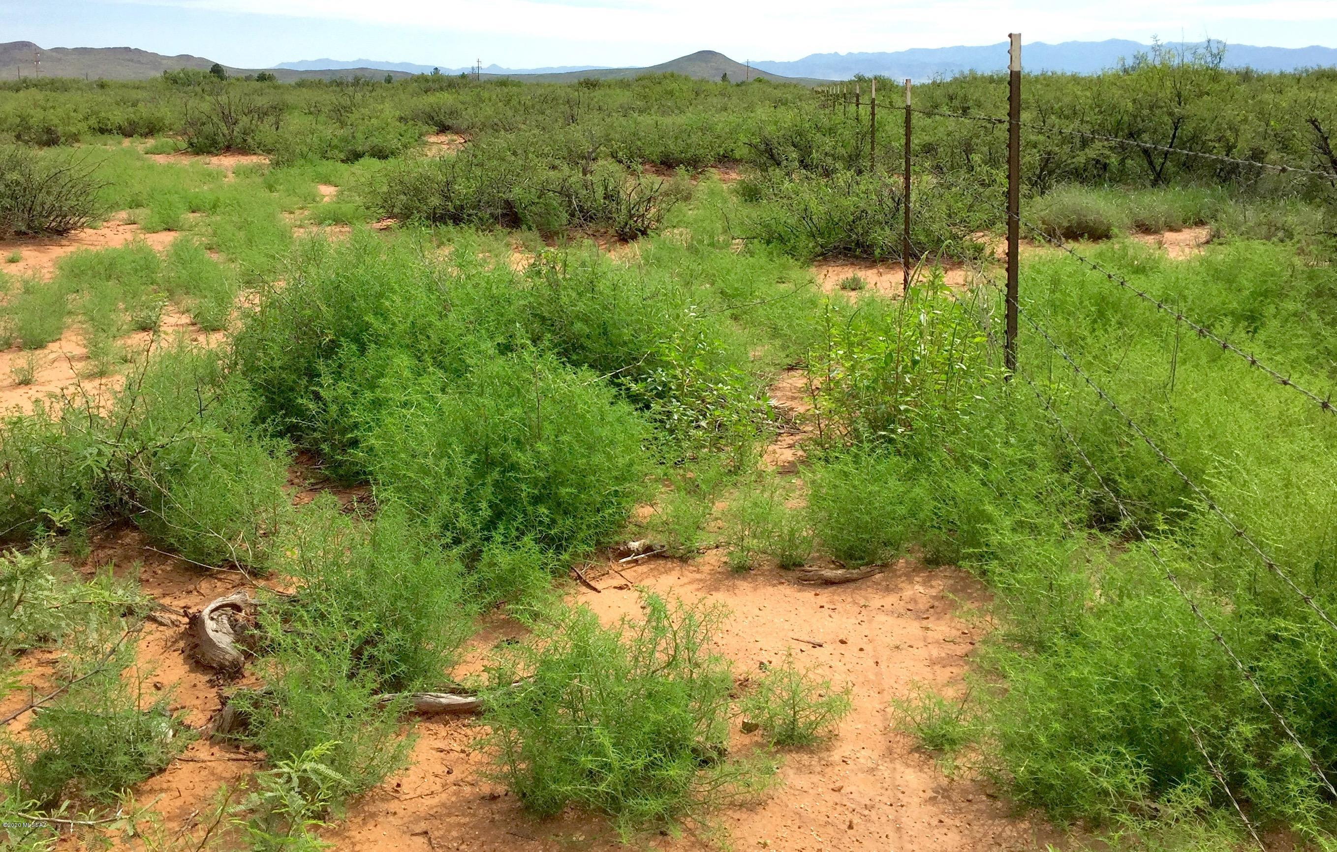 30-ac East Doe Ranch Road, Unit 56 Pearce, AZ 85625 - Photo 25 of 47
