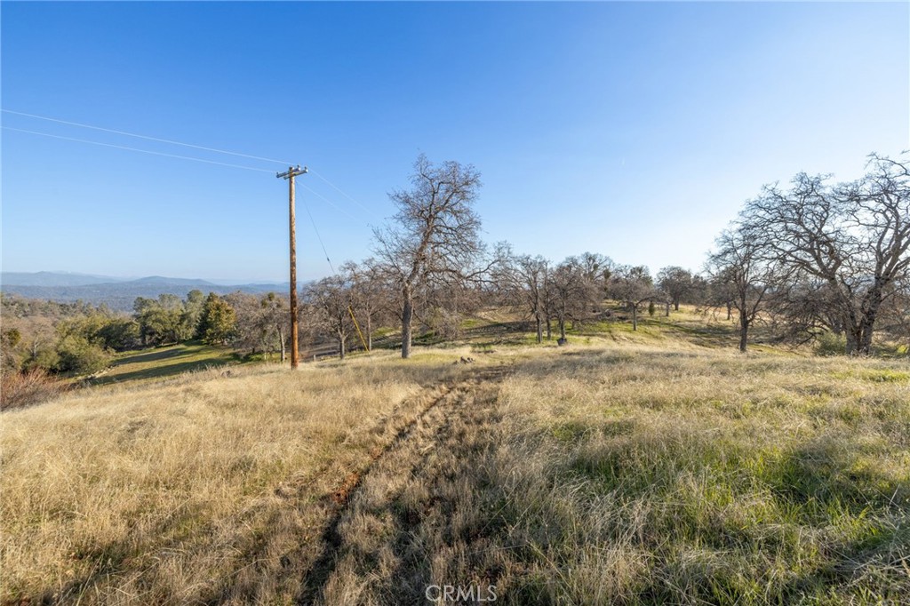 5153 Allred Road Mariposa, CA 95338 - Photo 23 of 41 a view of a yard with a tree