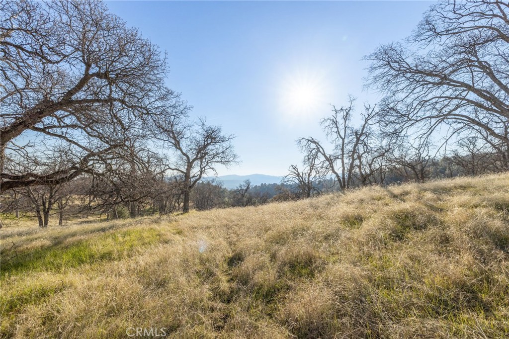 5153 Allred Road Mariposa, CA 95338 - Photo 24 of 41