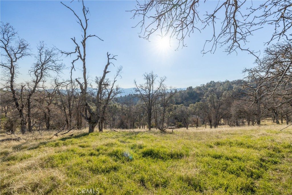 5153 Allred Road Mariposa, CA 95338 - Photo 25 of 41 a view of road with large trees