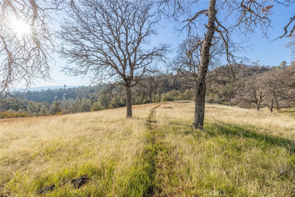 5153 Allred Road Mariposa, CA 95338 - Photo 29 of 41 a view of yard covered with snow