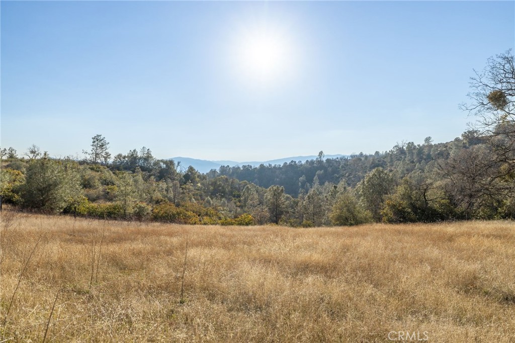 5153 Allred Road Mariposa, CA 95338 - Photo 30 of 41 a view of a dry yard with trees