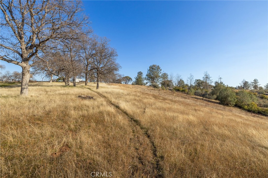 5153 Allred Road Mariposa, CA 95338 - Photo 32 of 41 a view of a yard with trees