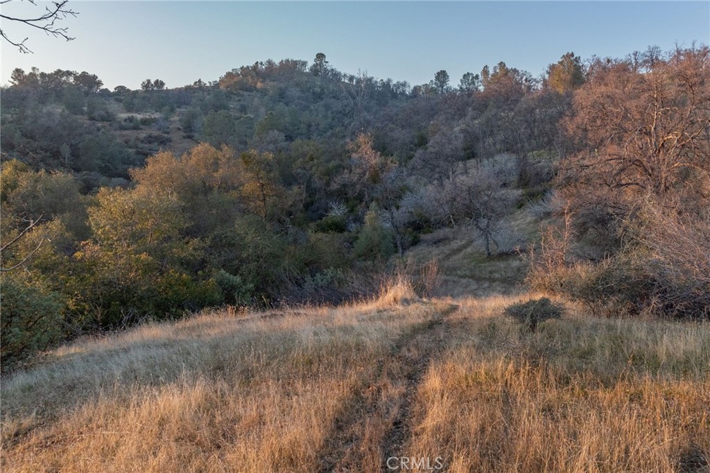 5153 Allred Road Mariposa, CA 95338 - Photo 37 of 41 a view of a lake with mountain