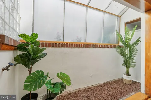 a potted plant sitting in front of a window