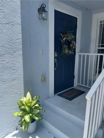 a potted plant sitting on a wooden floor