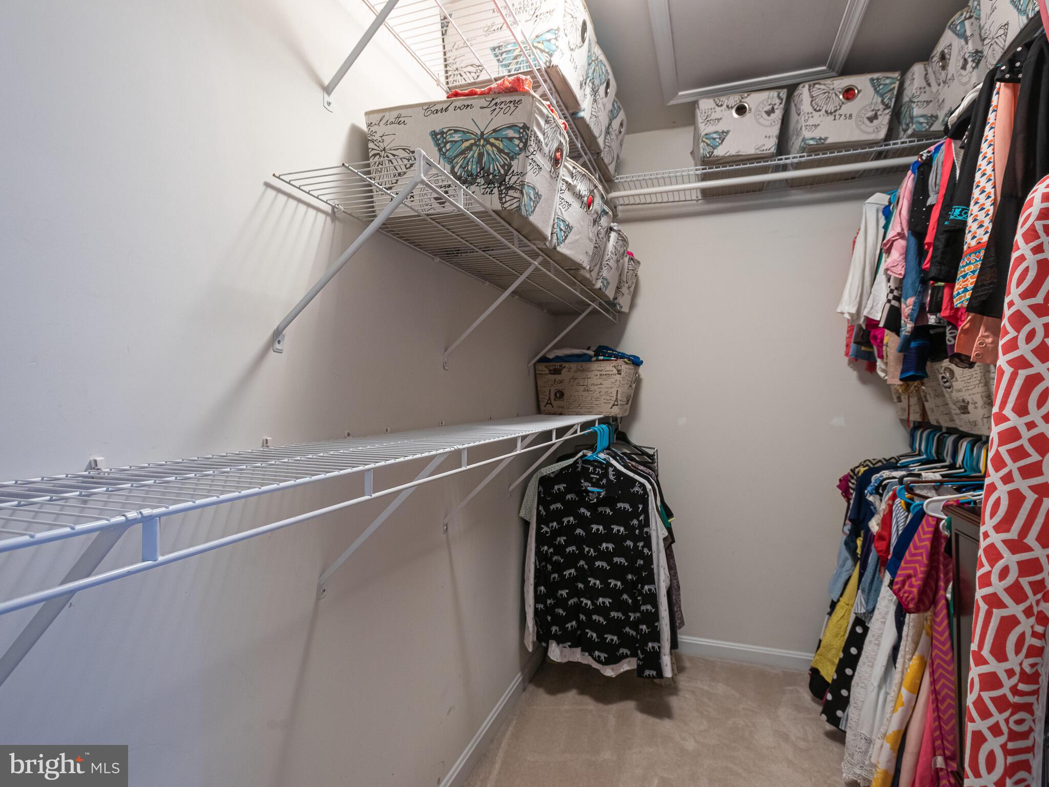 664 Churchill Road Chester Springs, PA 19425 - Photo 28 of 56 Master Walk In Closet