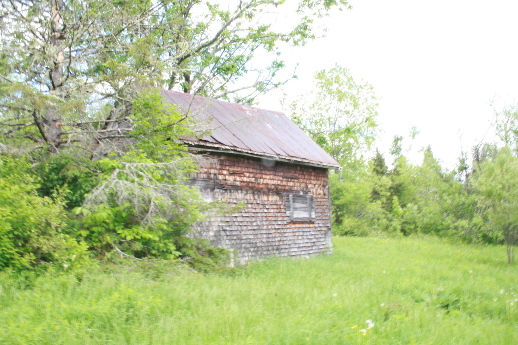 0 Roix Road New Limerick, ME 04761 - Photo 12 of 22 IMG_3605