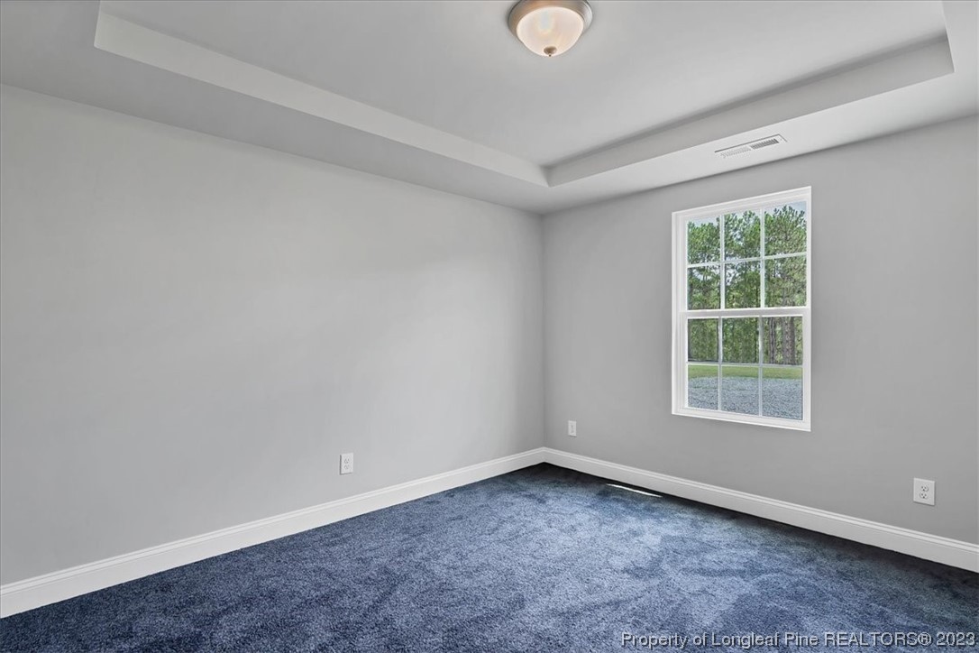 414 Mcbride Road Jackson Springs, NC 27281 - Photo 35 of 50 Gallery Image 35